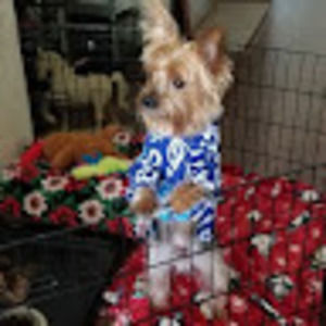 Meet your Posher, Mary